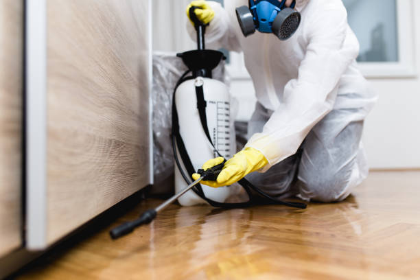 Best Insect Control  in Lake City, SC