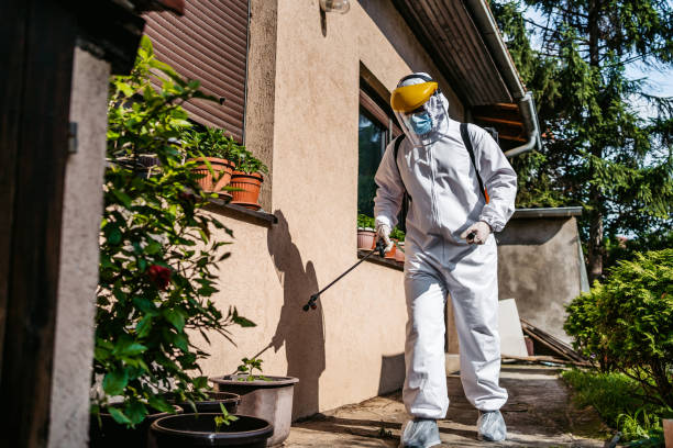 Reliable Lake City, SC Pest Control Solutions