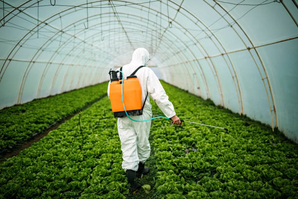 Best Commercial Pest Control Services  in Lake City, SC