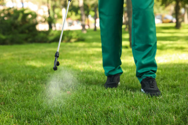 Best Affordable Pest Control Services  in Lake City, SC