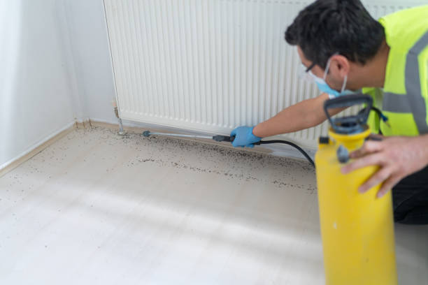 Best Wasp Removal Services  in Lake City, SC